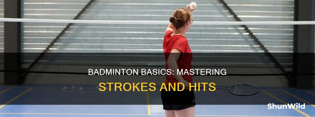 what are the basic strokes or hits in badminton