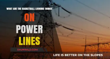 The Purpose of Strange Basketball-like Objects on Power Lines