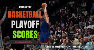 The Playoff Picture: Basketball Scores and Standings