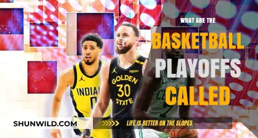 The NBA's Exciting Playoff Race