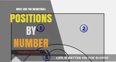Understanding Basketball Positions and Their Numbers