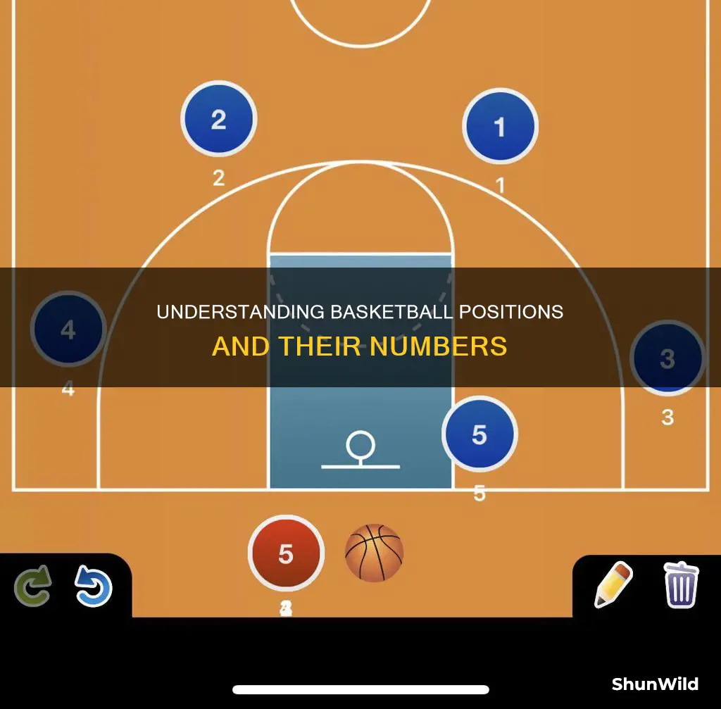 what are the basketball positions by number