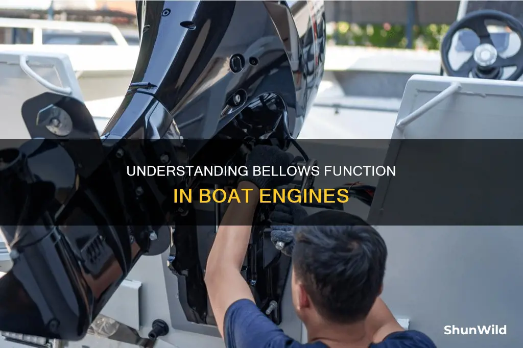 what are the bellows in a boat engine