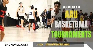 Best AAU Basketball Tournaments: Where Champions Are Made
