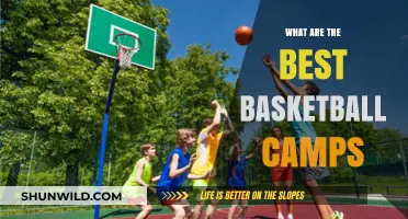 Best Basketball Camps: Where Champions Are Made