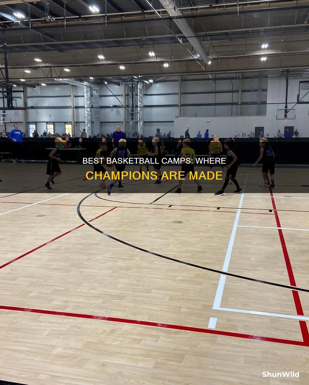 what are the best basketball camps