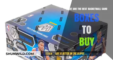 Best Basketball Card Boxes: Where to Invest