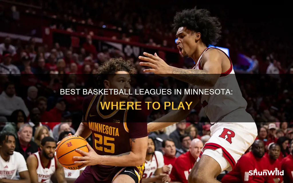 what are the best basketball leagues in mn