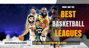 Best Basketball Leagues: Where the Legends Play