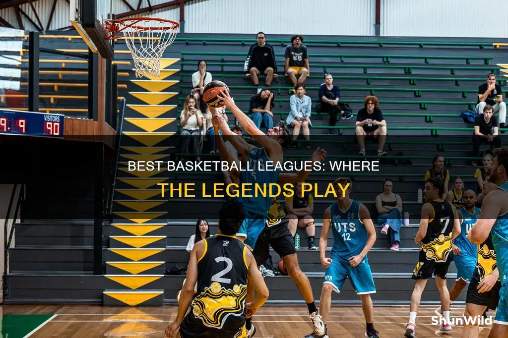 what are the best basketball leagues