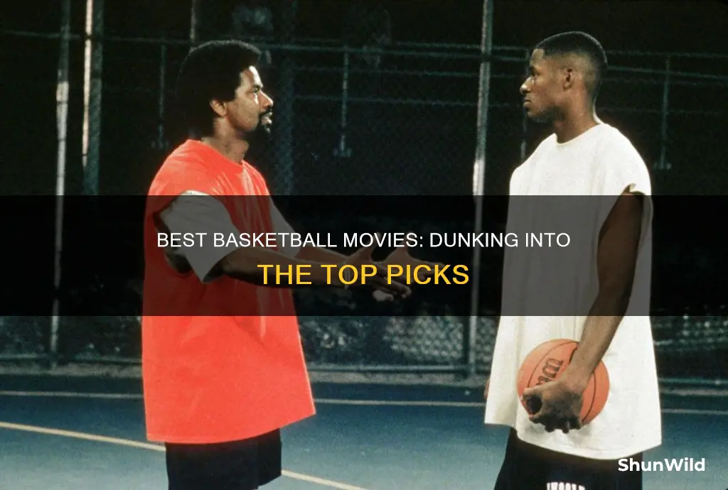 what are the best basketball movies