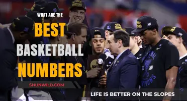 Top Jersey Numbers for Basketball Legends