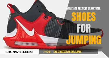 Jump Higher: Best Basketball Shoes for Dunking