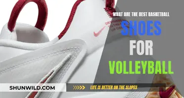 Best Basketball Shoes for Volleyball: A Crossover Guide