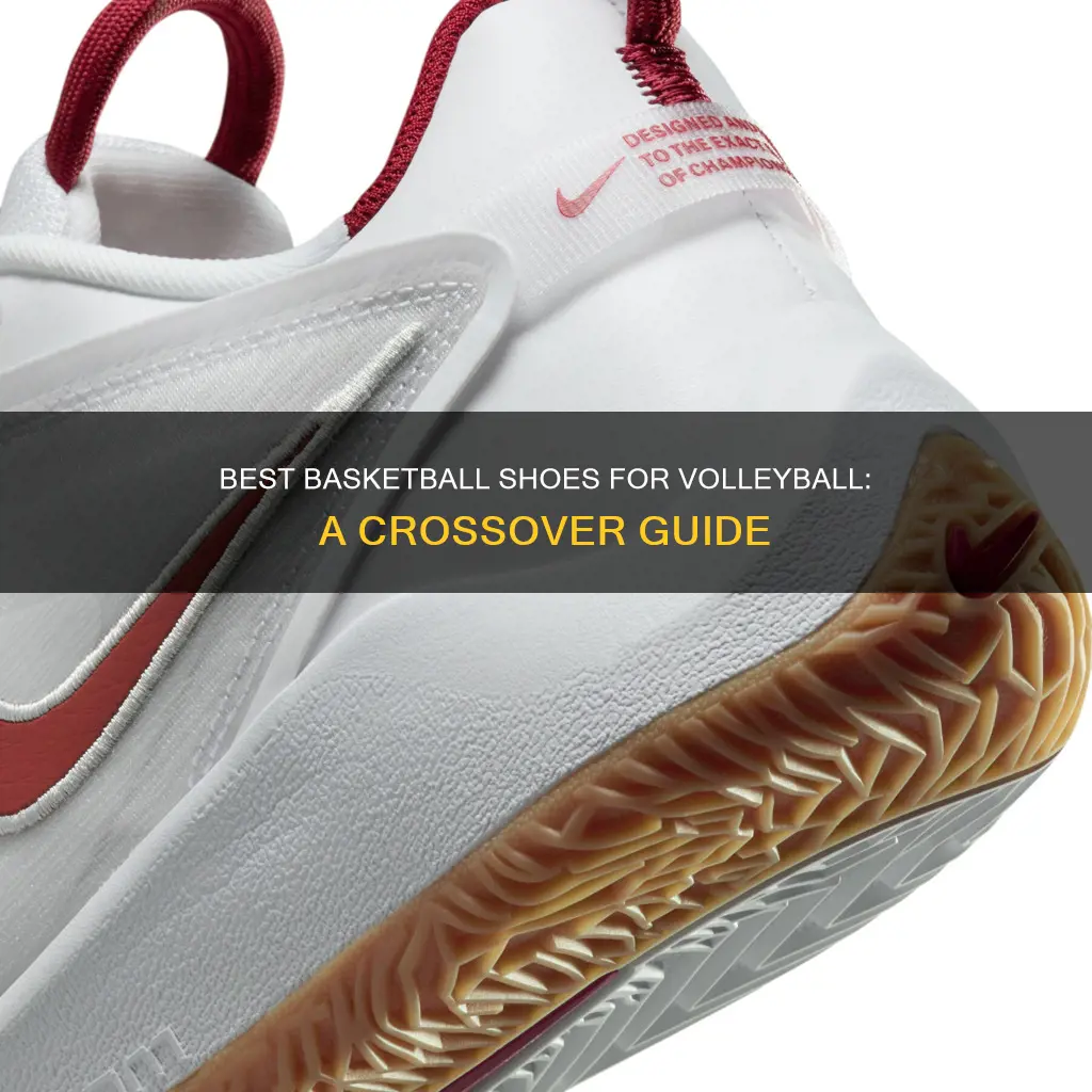 what are the best basketball shoes for volleyball