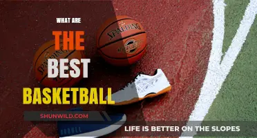 Best Basketball Shoes: Top Picks for the Court