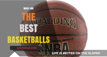 Best Basketballs: Choosing the Right One for You