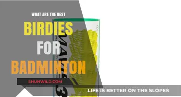 Badminton Birdies: Choosing the Best for Your Game