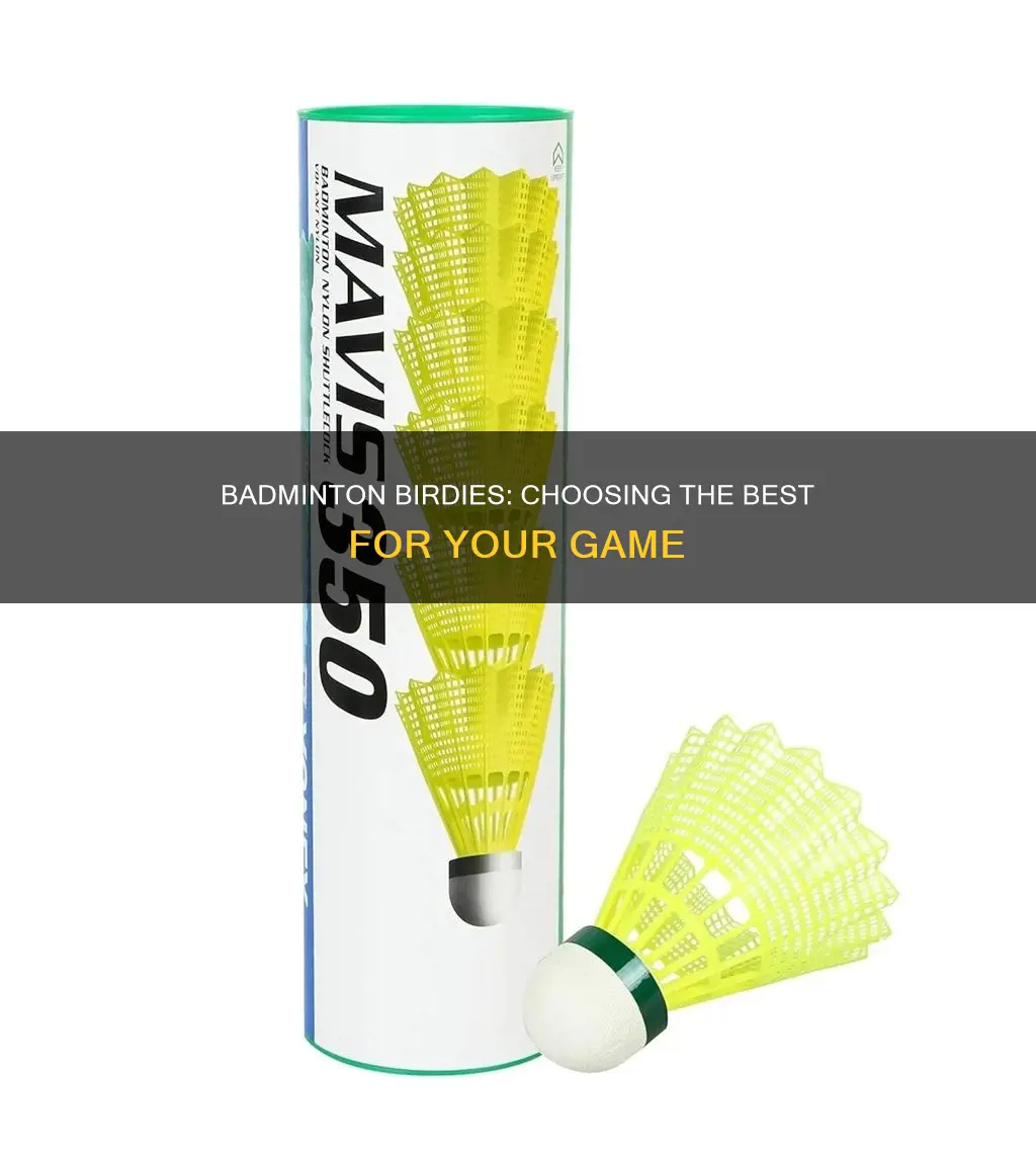 what are the best birdies for badminton