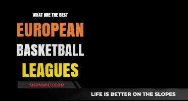 Exploring Europe's Top Basketball Leagues