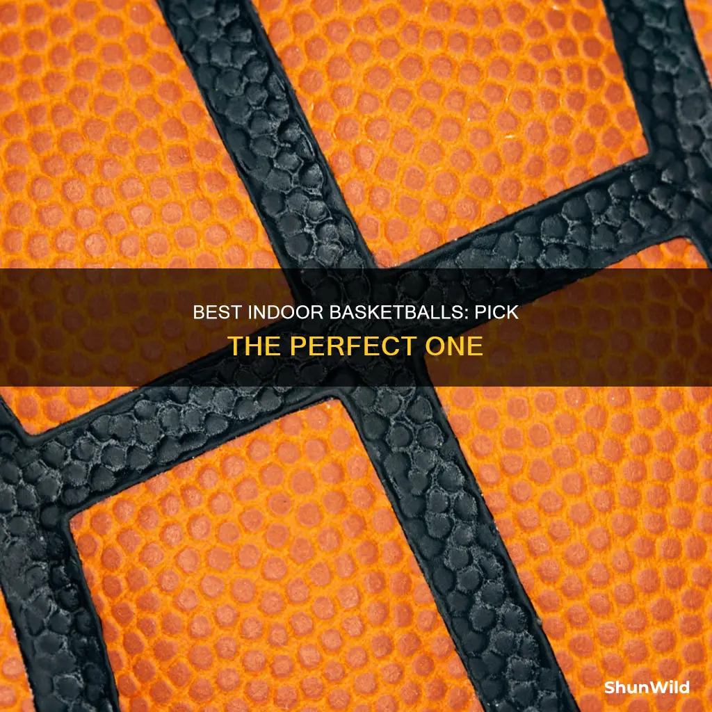 what are the best indoor basketballs