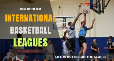 Exploring the Top International Basketball Leagues