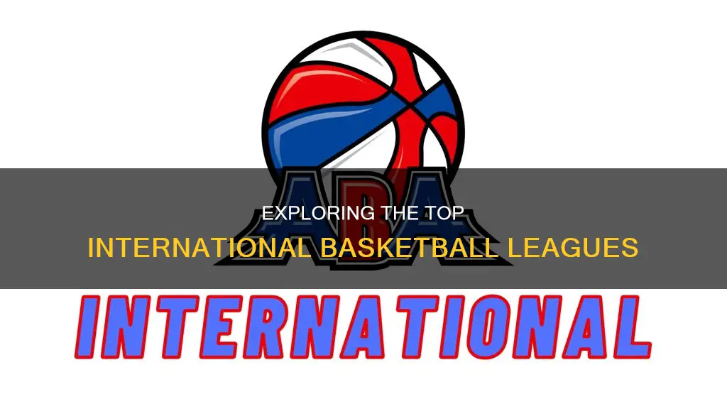 what are the best international basketball leagues