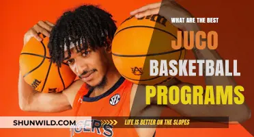 Top Juco Basketball Programs: Where Champions Are Made