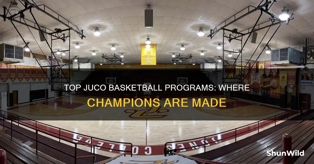 what are the best juco basketball programs