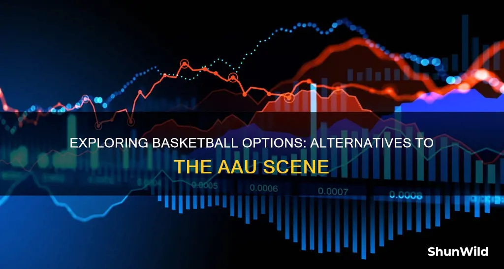 what are the best options for basketball besides aau