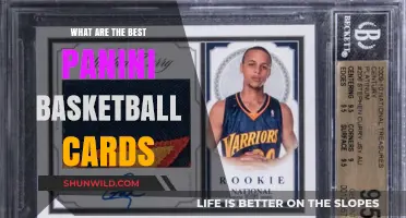 Panini Basketball Cards: Ultimate Collector's Guide