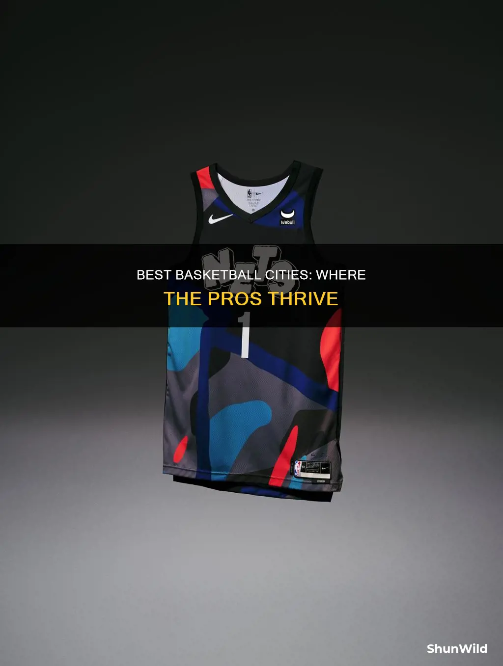 what are the best professional basketball cities