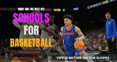 Best Secondary Schools for Basketball Enthusiasts
