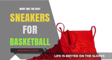 Best Basketball Sneakers: Choosing the Right Shoes for the Court