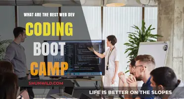 Top Web Development Bootcamps to Launch Your Coding Career Fast