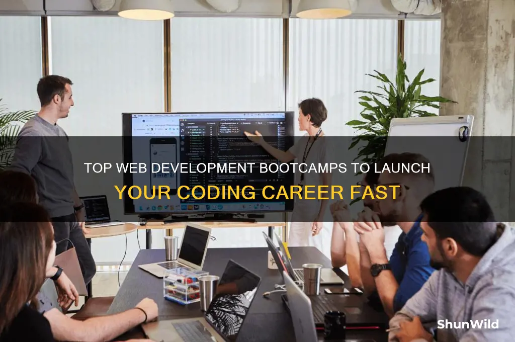 what are the best web dev coding boot camp