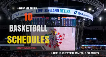 Big Ten Basketball: Schedules and Matchups for the Season