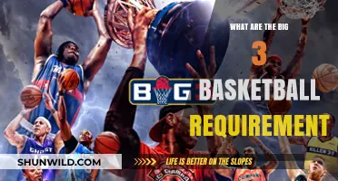 Basketball's Big 3: Skills, Drills, Thrills