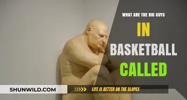 Basketball Big Guys: What's in a Name?