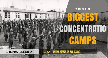 Exploring the Largest Concentration Camps in History: A Dark Legacy