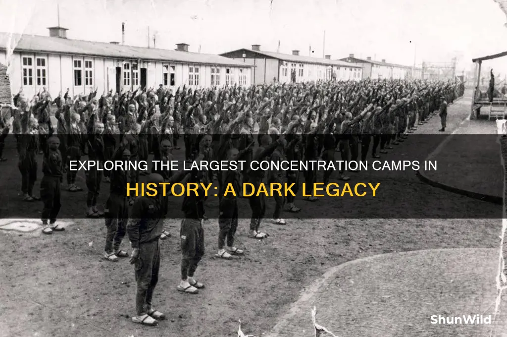 what are the biggest concentration camps