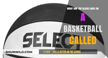 Basketball Court Lines: What's Their Purpose?