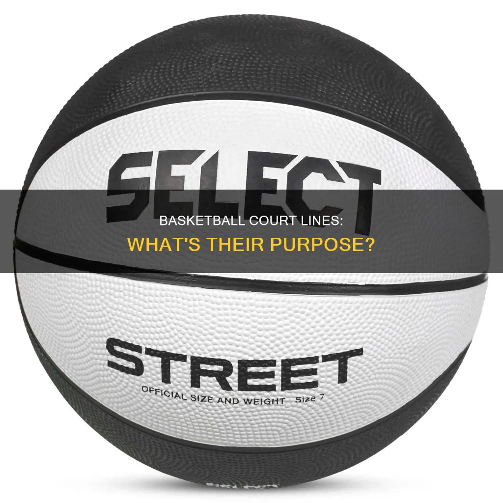 what are the black lines on a basketball called