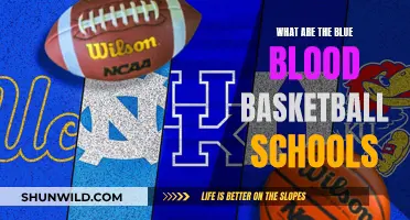 Elite Blue Blood Basketball Schools: Who Are They?
