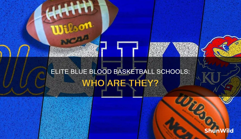 what are the blue blood basketball schools