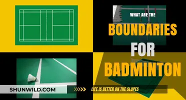 Badminton Boundaries: Know Your Limits to Win
