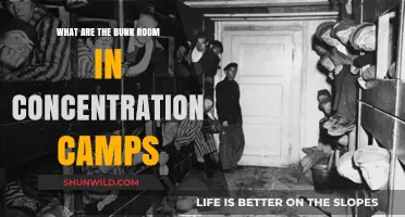 Bunk Rooms in Concentration Camps: A Grim Reality Explained