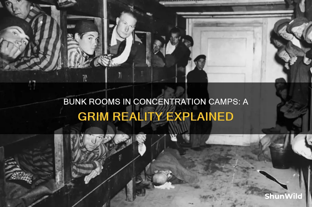 what are the bunk room in concentration camps