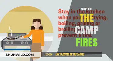 Understanding Campfires: Their Purpose, Safety, and Outdoor Enjoyment