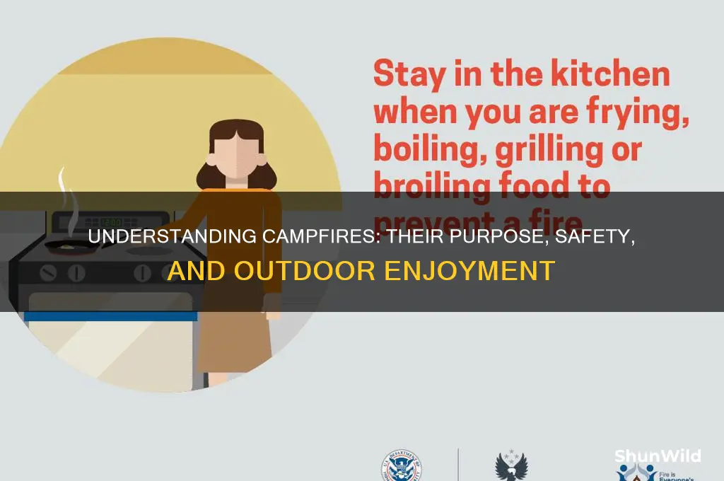 what are the camp fires